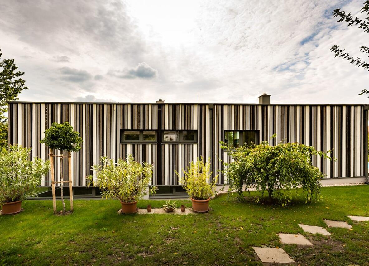 Einfamilienhaus Eisenstadt – Außenansicht moderner Holzbau mit Flachdach und Grünumgebung, Gollubits Holzbau