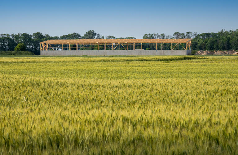 Holzhalle eingebettet in die Landschaft